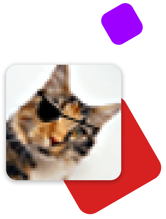 My avatar, a pixelated cat with an eye-patch
